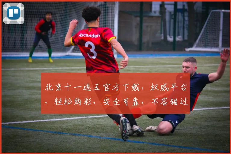 北京十一选五官方下载，权威平台，轻松购彩，安全可靠，不容错过，快来下载体验