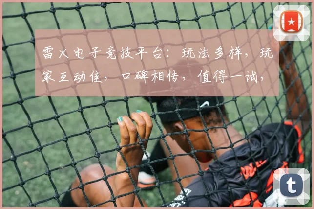 雷火电子竞技平台：玩法多样，玩家互动佳，口碑相传，值得一试，体验非凡