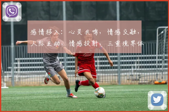 感情移入：心灵共鸣，情感交融，人际互动，情感投射，三重境界体验