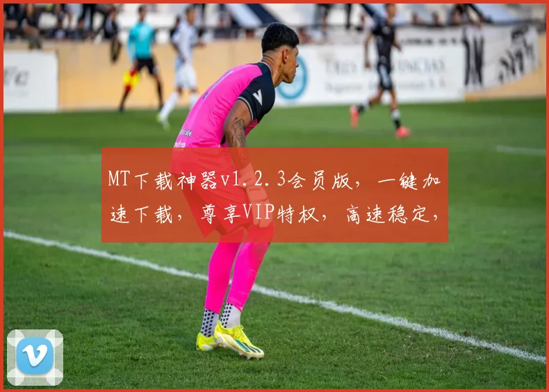 MT下载神器v1.2.3会员版，一键加速下载，尊享VIP特权，高速稳定，必看攻略，轻松驾驭
