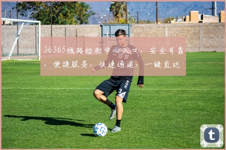 36365线路检测中心入口，安全可靠，便捷服务，快速通道，一键直达，专业无忧。