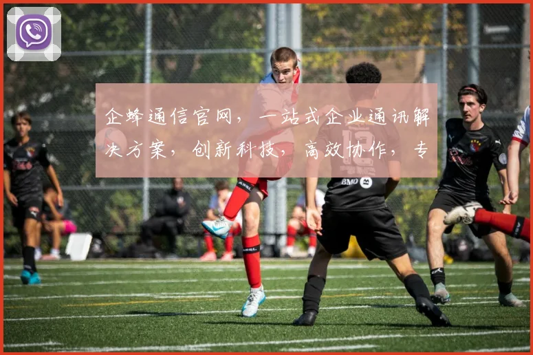 企蜂通信官网，一站式企业通讯解决方案，创新科技，高效协作，专业服务，三网融合，成就卓越